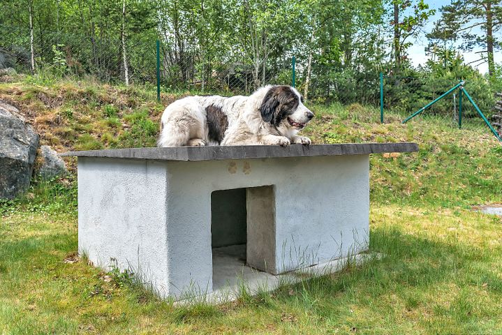 Bygg et isolert hundehus i betong 3