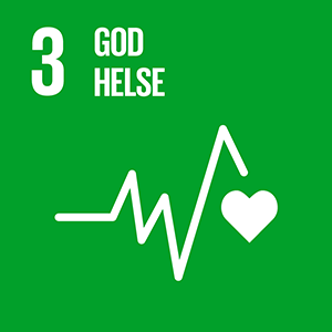 Sustainable-Development-Goals_icons-3-NO.png