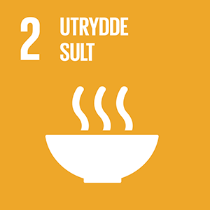 Sustainable-Development-Goals_icons-2-NO.png