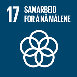 Sustainable-Development-Goals_icons-17-NO.png