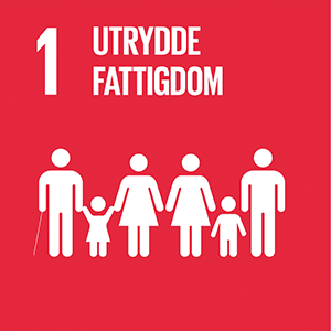 Sustainable-Development-Goals_icons-1-NO.png