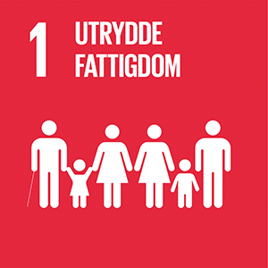 Globalt bærekraftsmål – Utrydde fattigdom